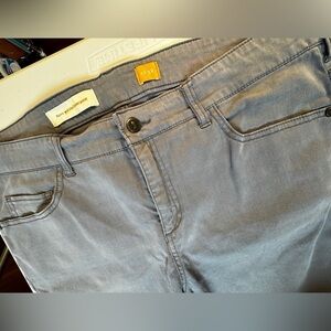 Pilcro & the Letterpress Gray Skinny Jeans Size 32 Ankle Zip Anthropologie